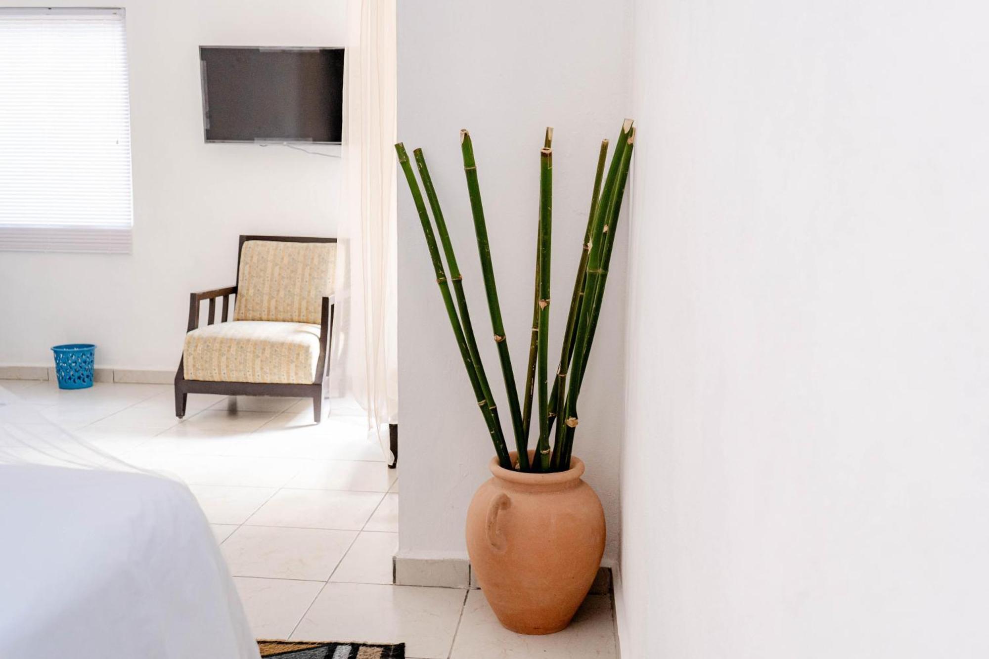 Buenosdias Izamal Bed & Breakfast Bagian luar foto