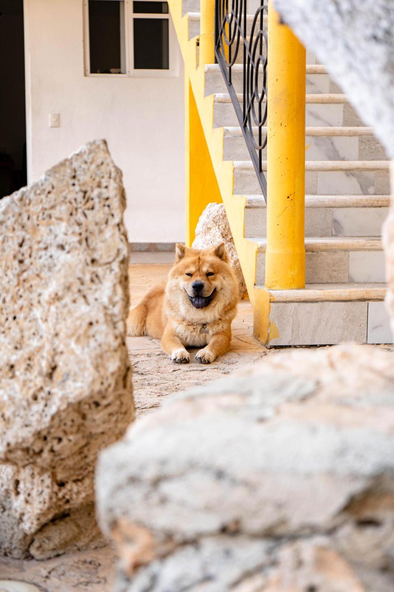 Buenosdias Izamal Bed & Breakfast Bagian luar foto